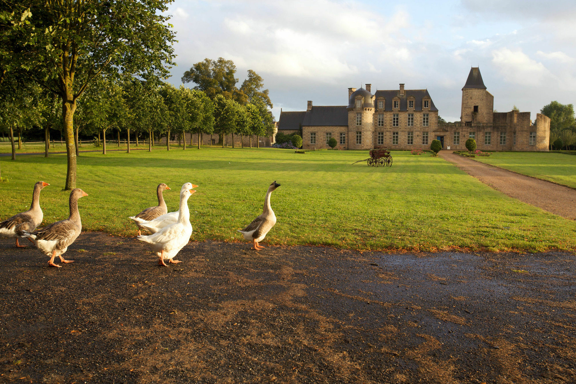 Chateau Du Bois-Guy Golf Parigné Kültér fotó